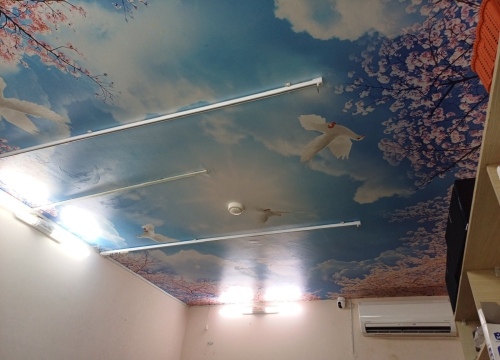 Tranh dán trần tại chung cư emarld tân phú