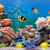 TRANH DÁN TƯỜNG 3D 26
