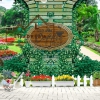 TRANH DÁN TƯỜNG COFFEE 13