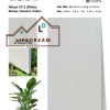 TẤM ỐP THAN TRE IWood CF-2