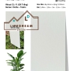 TẤM ỐP THAN TRE IWood CL-11