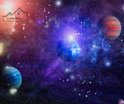 TRANH DÁN TƯỜNG 3D 29