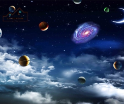 TRANH DÁN TƯỜNG 3D 25
