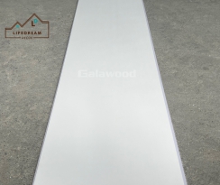 NANO Galawood 02