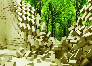 TRANH DÁN TƯỜNG 3D 24