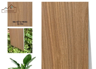 TẤM ỐP THAN TRE IWood WG-6