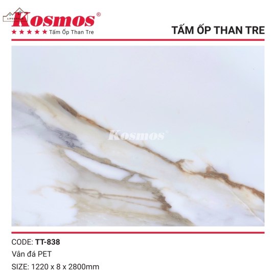TẤM ỐP NHỰA THAN TRE CAO CẤP 13